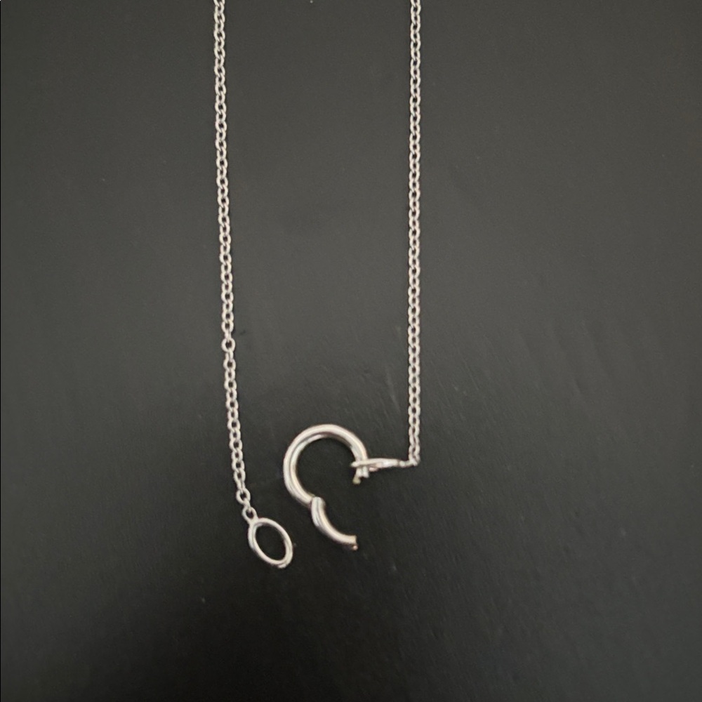 Baby Gold 14k White Gold Necklace - Picture 5 of 5